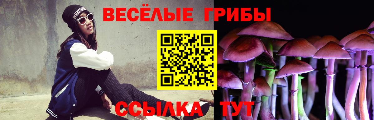 Псилоцибиновые грибы ЛСД Дедовск